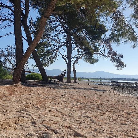 Penthouse Apartman Marcelina In Trogir Exteriér fotografie